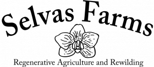 uf-ifas-logo